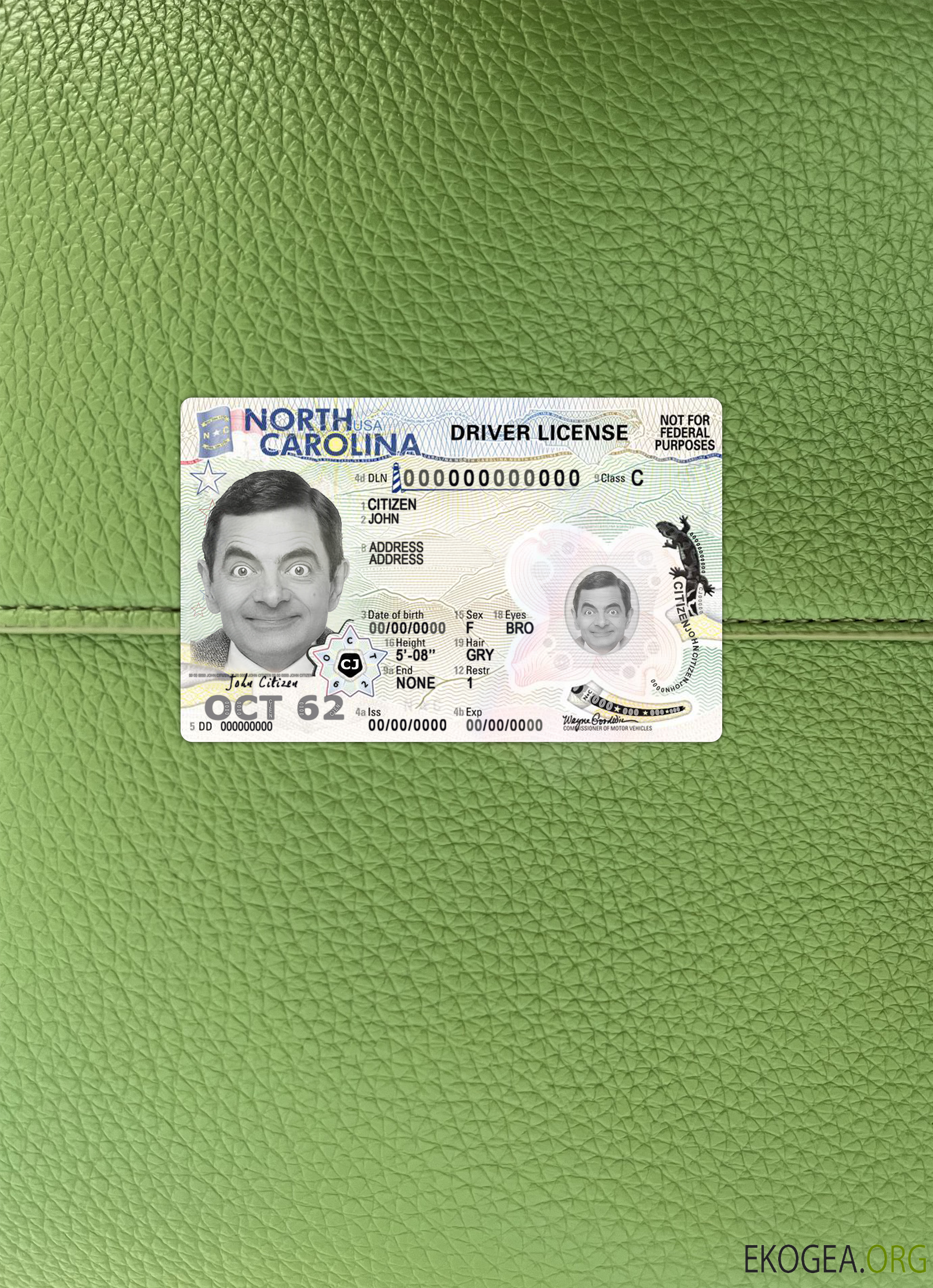 Permis de conduire USA Caroline du Nord 2024 présent photolook AVANT